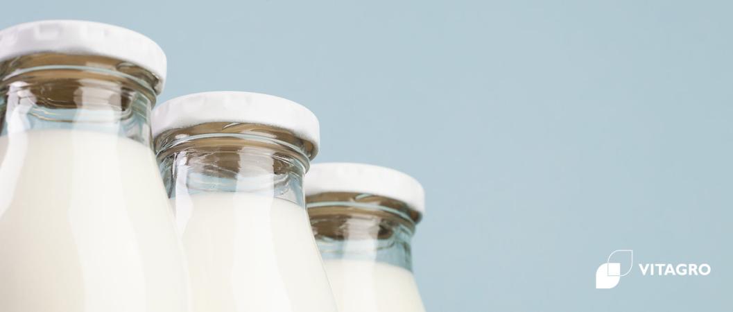 In the Khmelnytsky region in Volochysk, the first two milk machines with milk from our cows were launched
