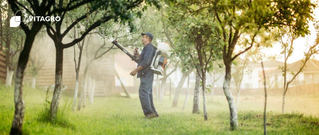 Spring processing of the garden, the first processing of the garden in spring