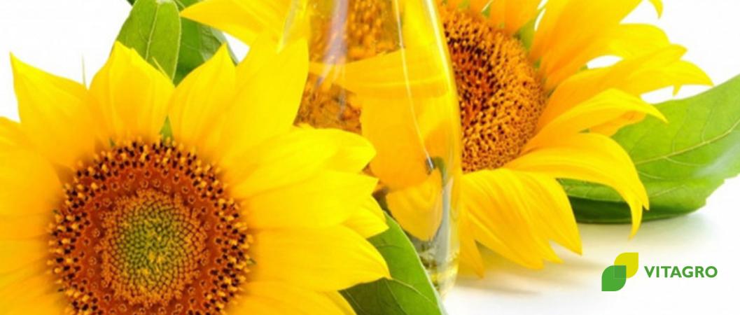 VITAGRO increases the production capacity of sunflower and rapeseed oil.