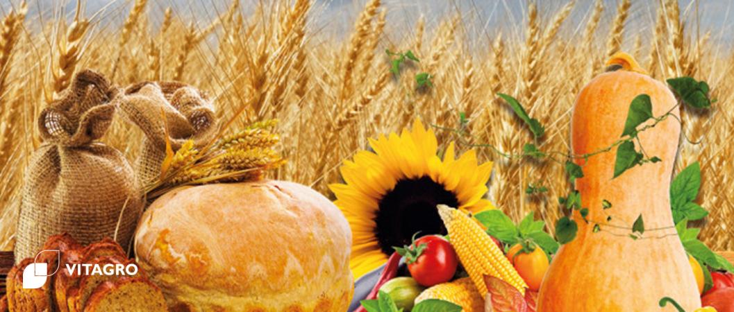Greetings on the Day of Agricultural Workers of Ukraine.