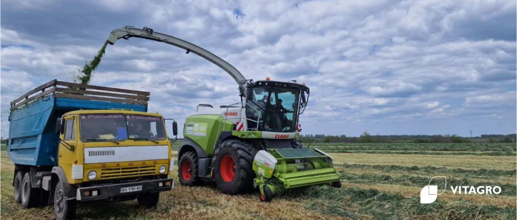 Two harvests per season! Successful experience of VITAGRO agricultural holding