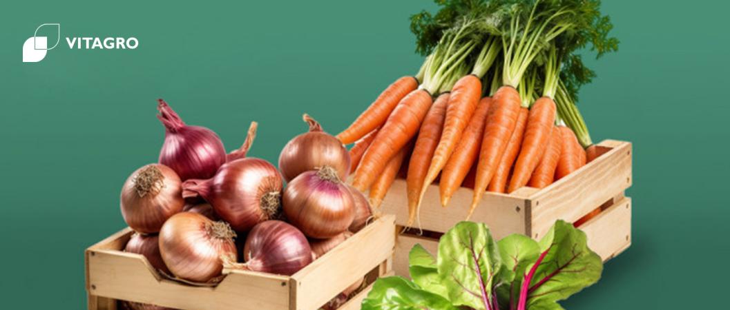 Fresh vegetables from VITAGRO plantations wholesale to your stores.