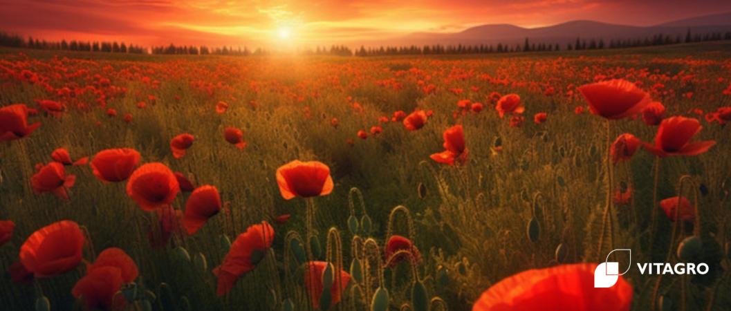 Day of mourning and commemoration of war victims in Ukraine
