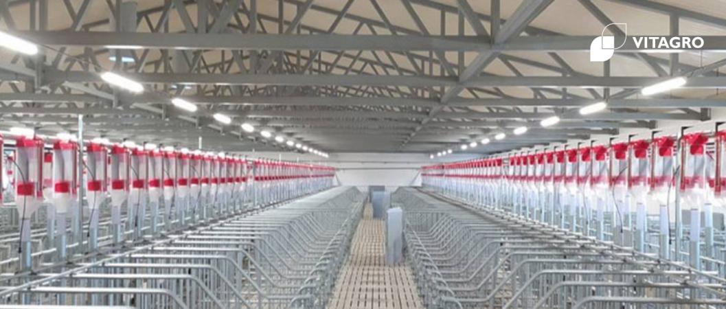 New pig farm Vitagro