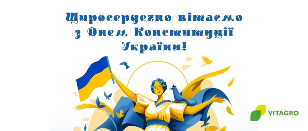 Dear Ukraine, congratulations on Constitution Day!